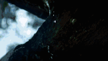 640.gif