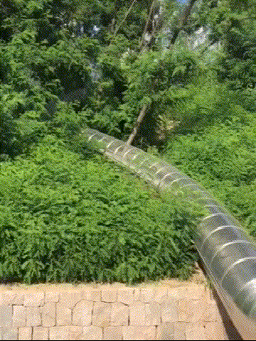 640 (3).gif