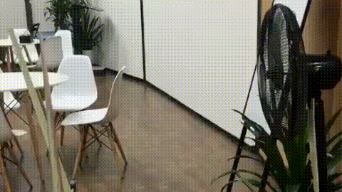 640 (1).gif