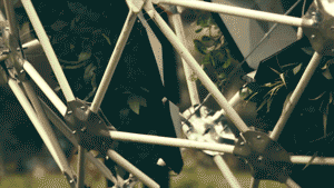 640_wx_fmt=gif&wxfrom=5&wx_lazy=1 (9).gif