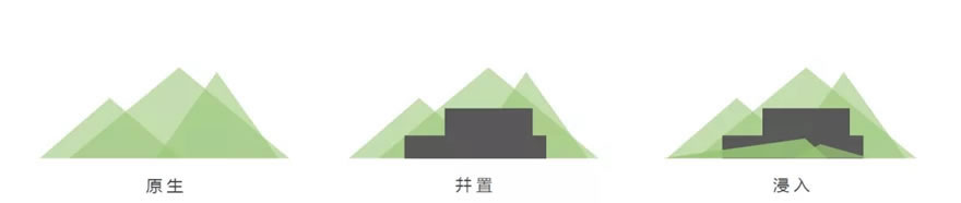 640.webp (14).jpg