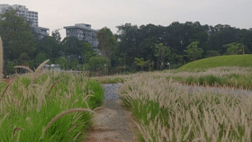 640 (3).gif