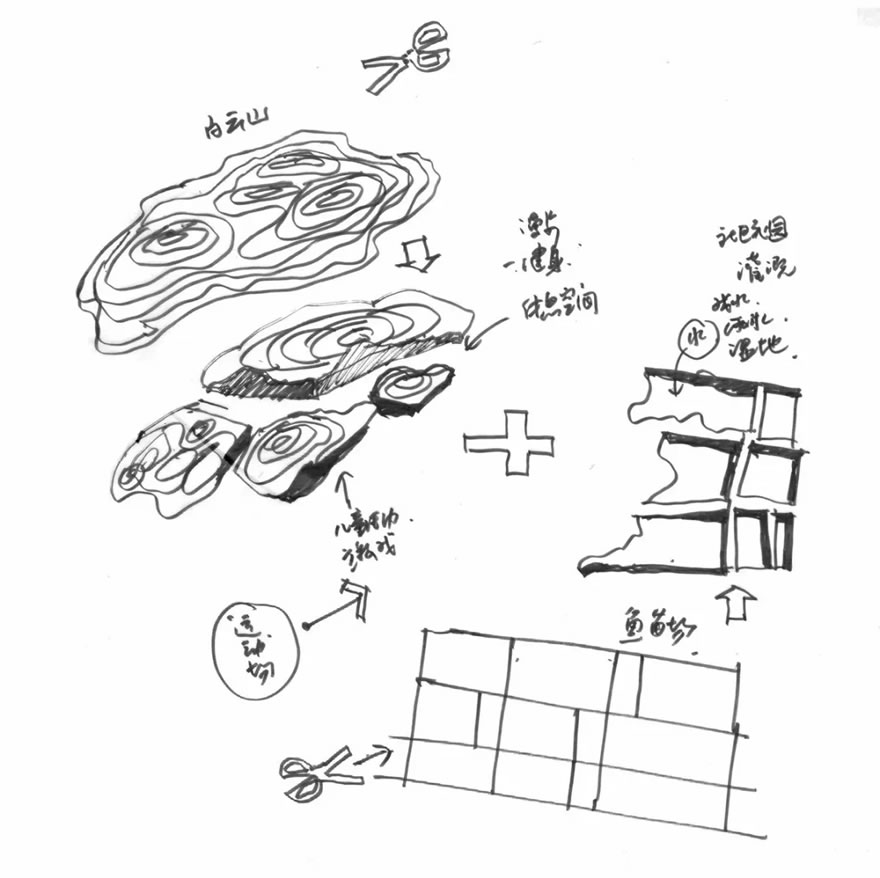 640.webp (10).jpg