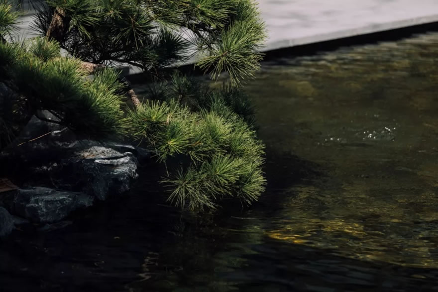 苏州山水•樾澜庭 | 朗道国际设计 - 景观网