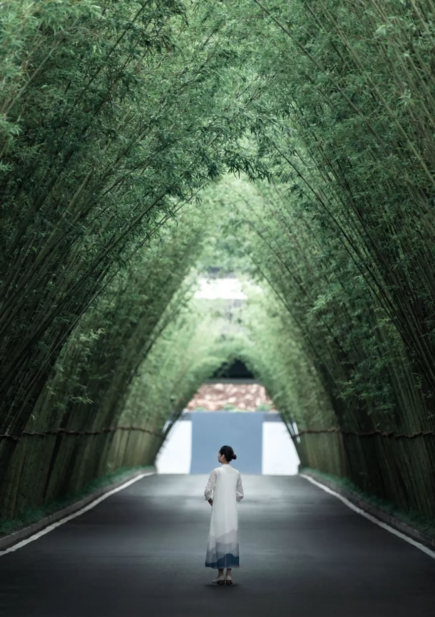 640.webp (49).jpg 640.webp (49).jpg