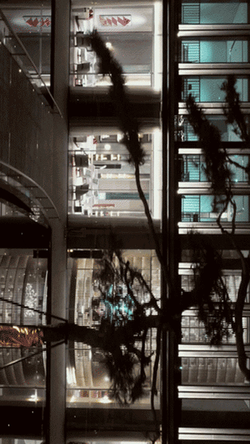 640 (1).gif