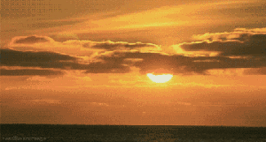 640.gif