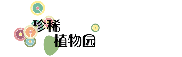 640 (1).gif