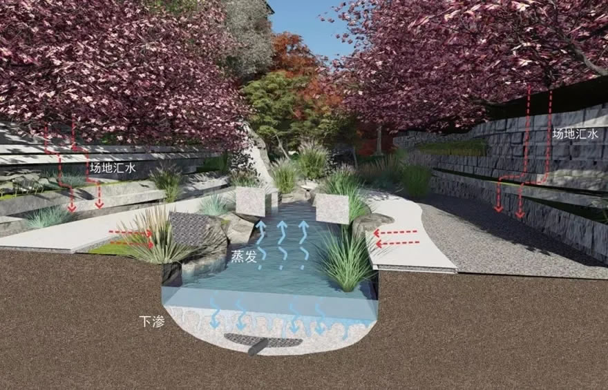 640.webp (23).jpg