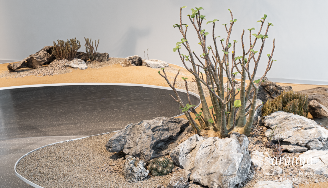 “与自然共生”艺术展 | 在阿那亚,看见更广阔的世界 - 景观网