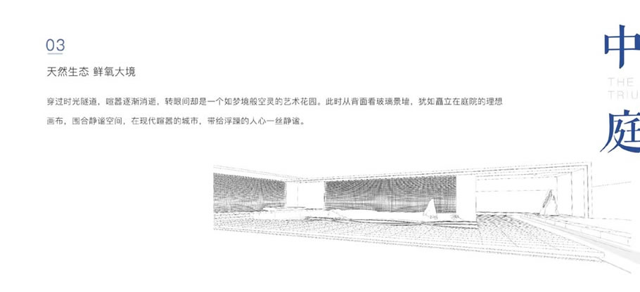 640.webp (22).jpg