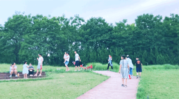 640 (1).gif