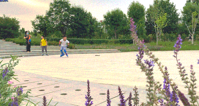 640 (2).gif