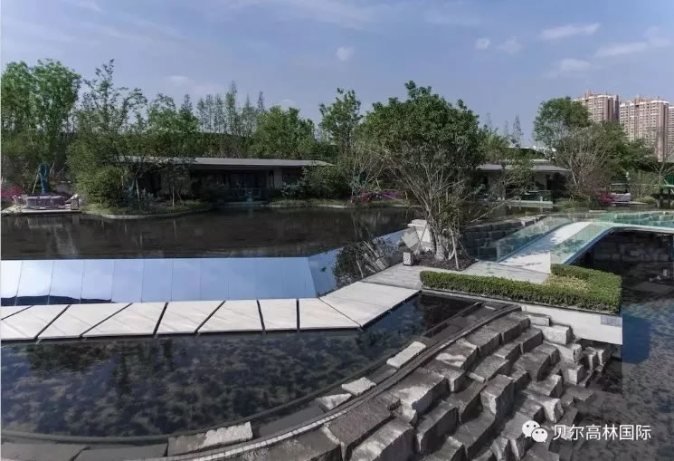 640.webp (11).jpg 640.webp (11).jpg