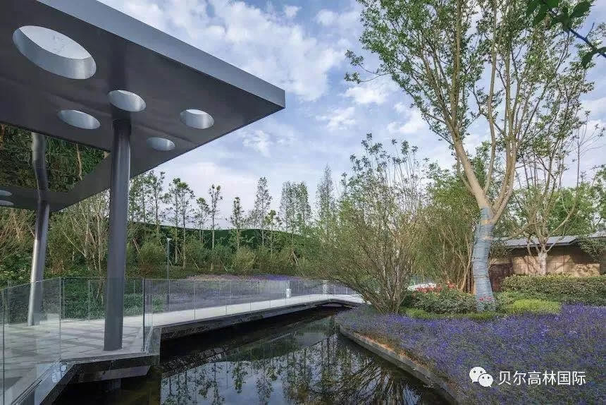 640.webp (12).jpg 640.webp (12).jpg