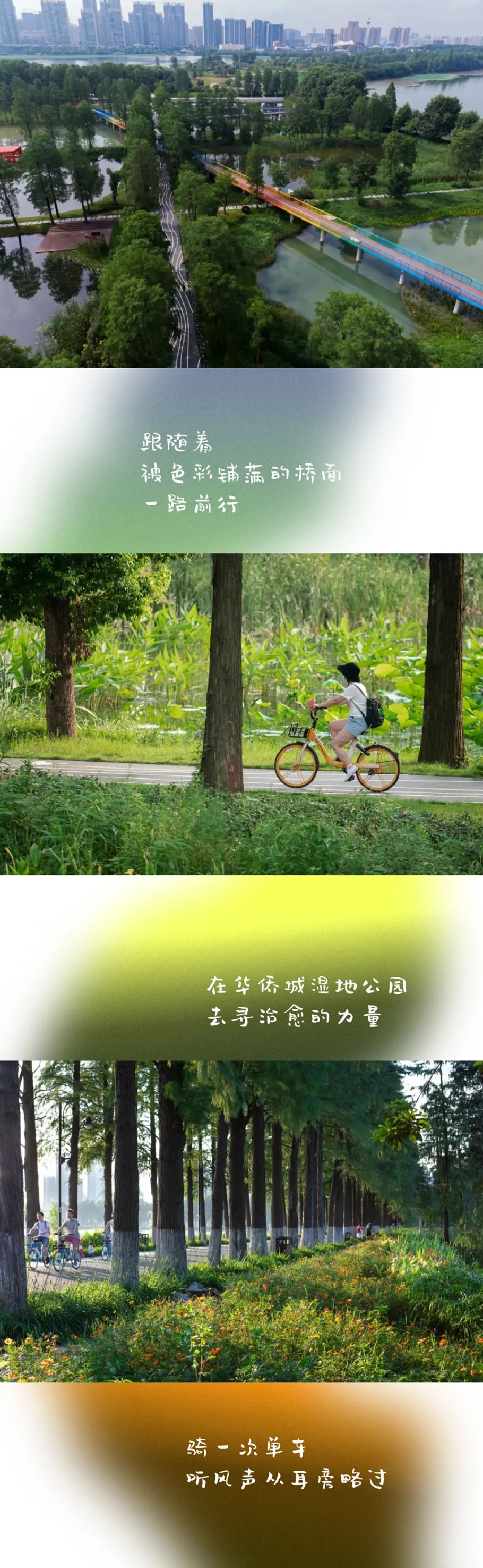 640.webp (1).jpg