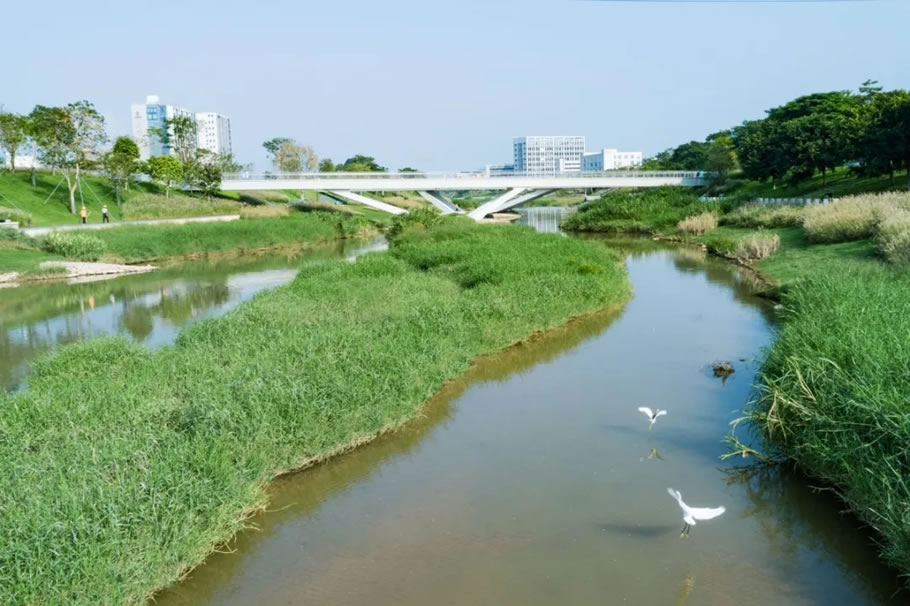 深圳茅洲河碧道·光明段生态修复试点 | EADG泛亚国际 - 景观网