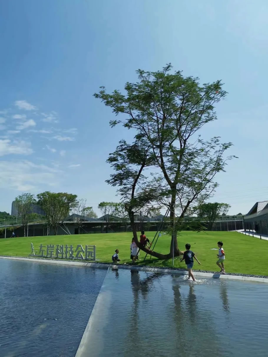 深圳茅洲河碧道试点段建设项目 | 同济设计TJAD - 景观网