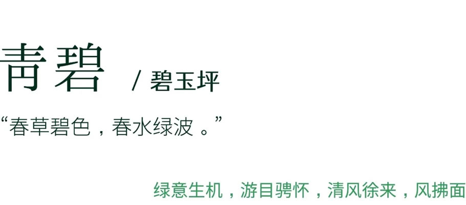 640.webp (10).jpg