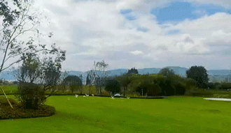 640 (1).gif