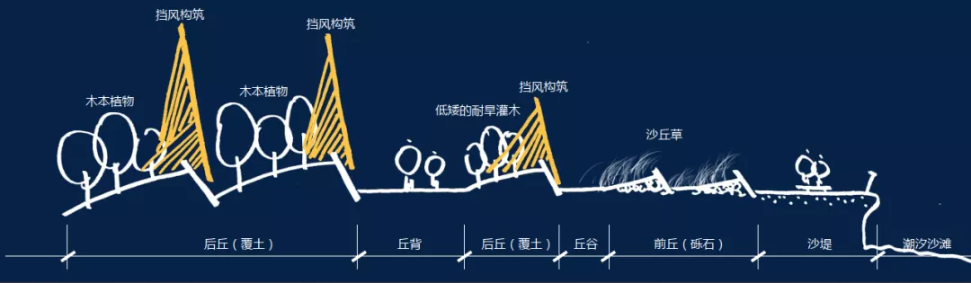 海岸新生 |“新鲜开张”的烟台金沙滩