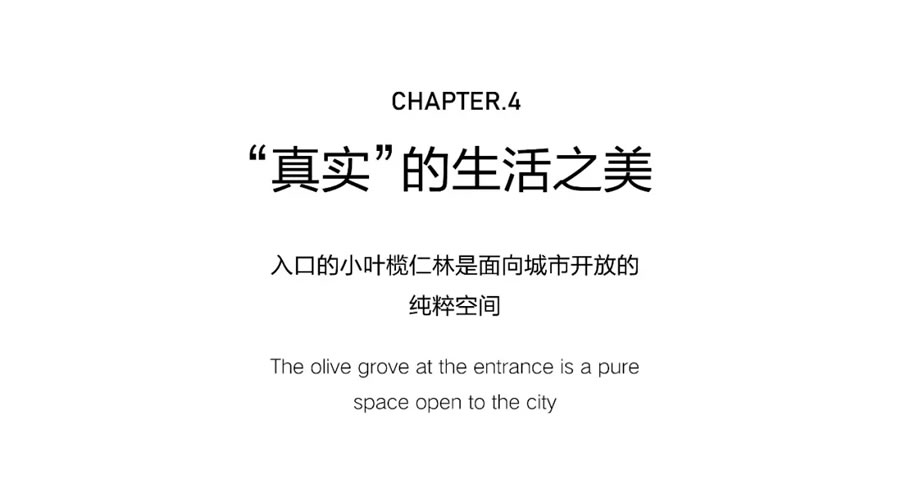 640.webp (29).jpg