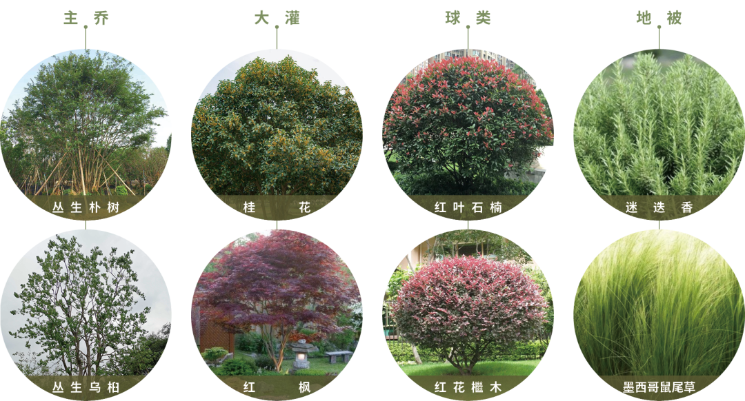 640 (4).png 640 (4).png