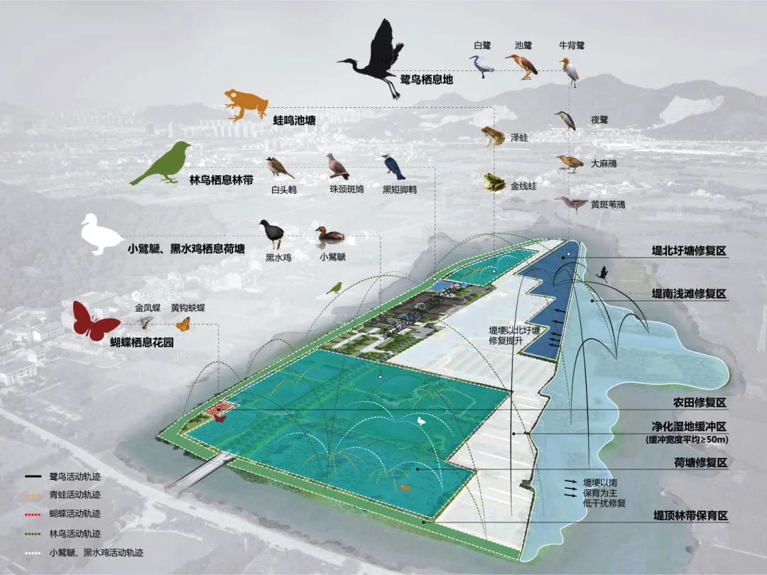 一幅台州“山水画”，河网纵横、草长莺飞｜鉴洋湖湿地公园