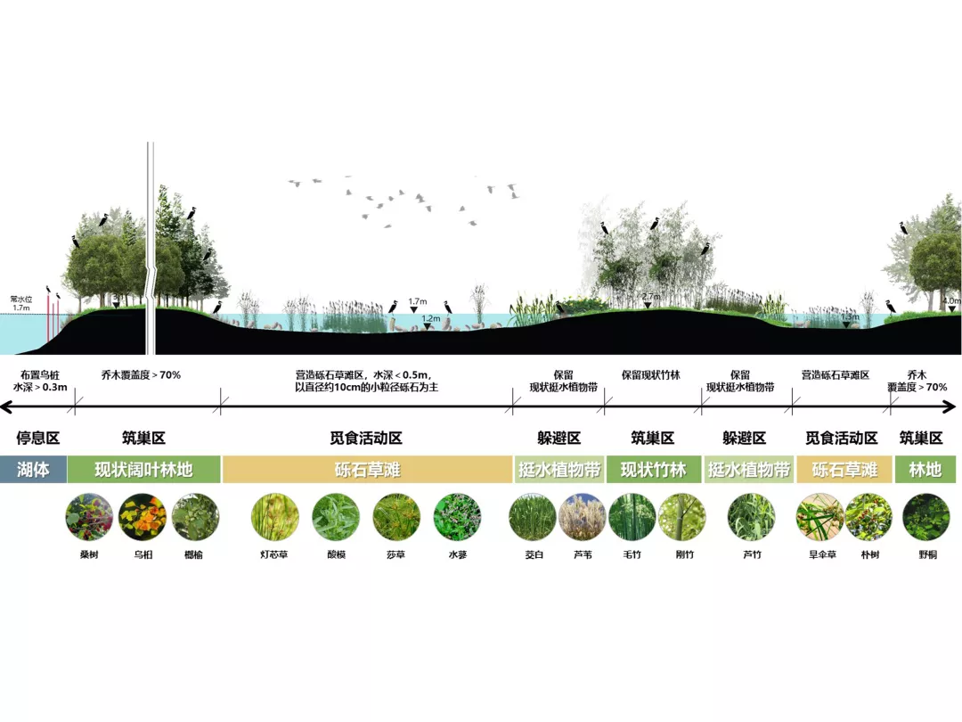 一幅台州“山水画”，河网纵横、草长莺飞｜鉴洋湖湿地公园