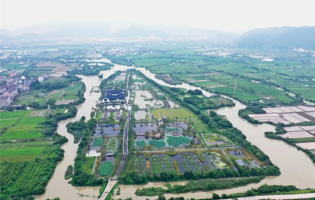 一幅台州“山水画”，河网纵横、草长莺飞｜鉴洋湖湿地公园