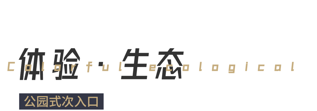 640 (23).png