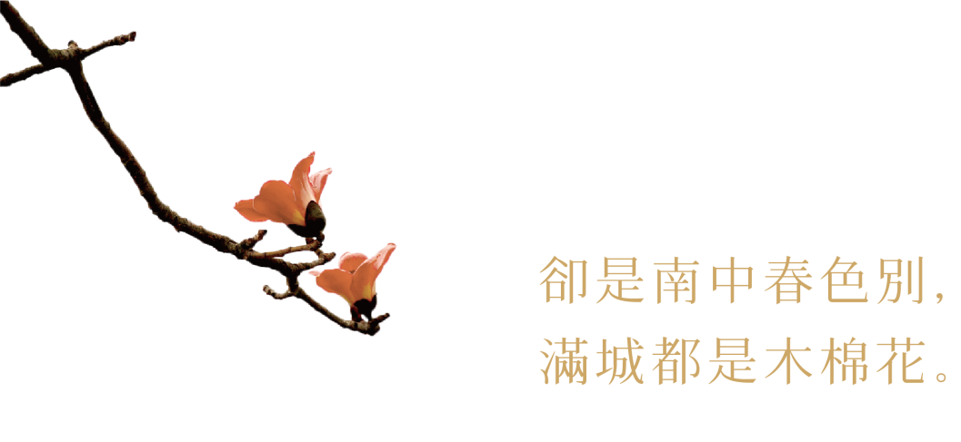 640 (4).png