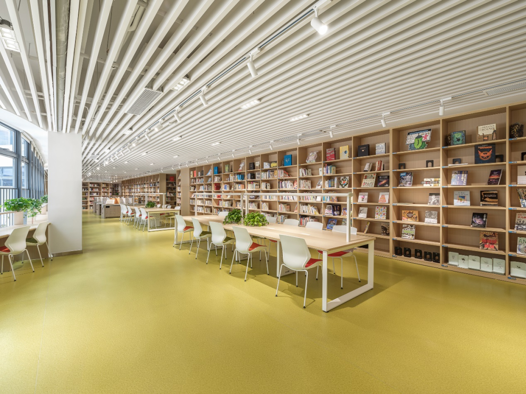 深圳香港培侨书院信义龙华学校 | 吕元祥建筑设计 RLP - Press 地产通讯社
