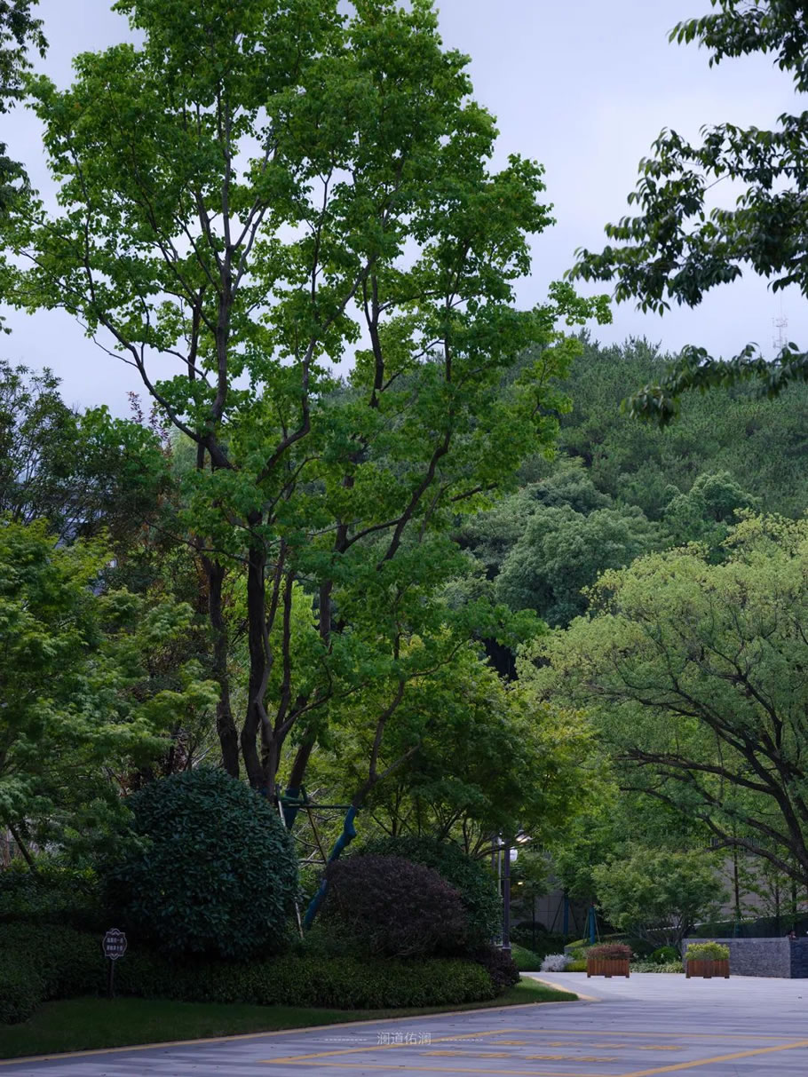 宁波龙湖·坤和 天麓府 | 澜道设计 - Press 地产通讯社