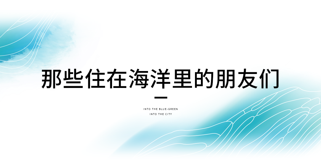 29ca0e1a6f9d52dc00a9aba2b5e65b9.png