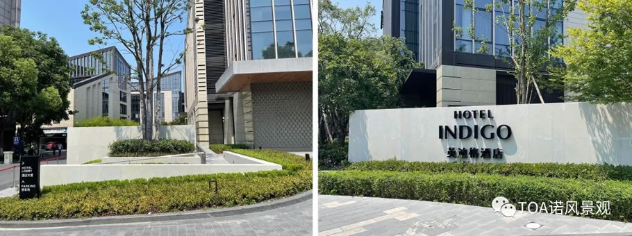 杭州上城英迪格酒店 | TOA诺风景观 - 景观网