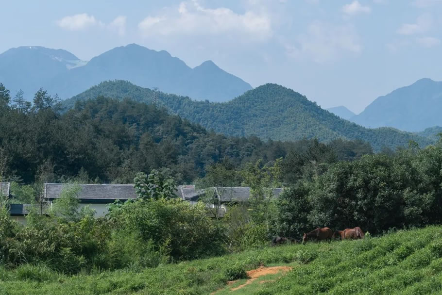 安吉桃花源桃源壹号 | BA设计 - 景观网