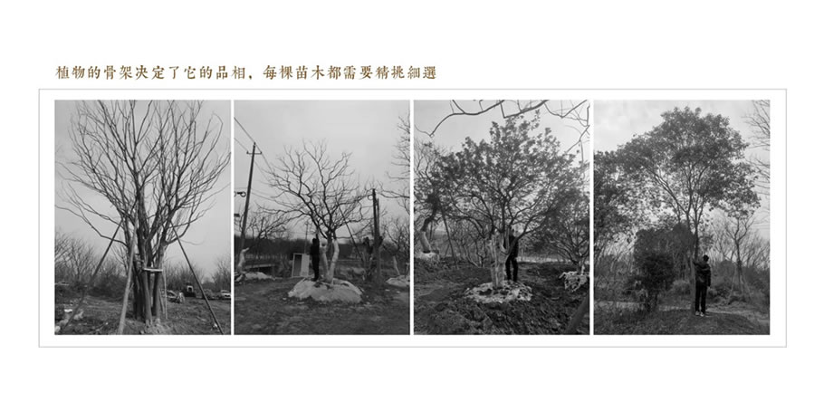 合肥·建发珺和府 | 罗朗景观 - 景观网