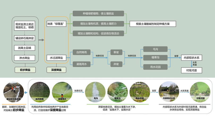 西沙乡村公园生态基础设施建设与提升(一期)| 上海园林 - 景观网