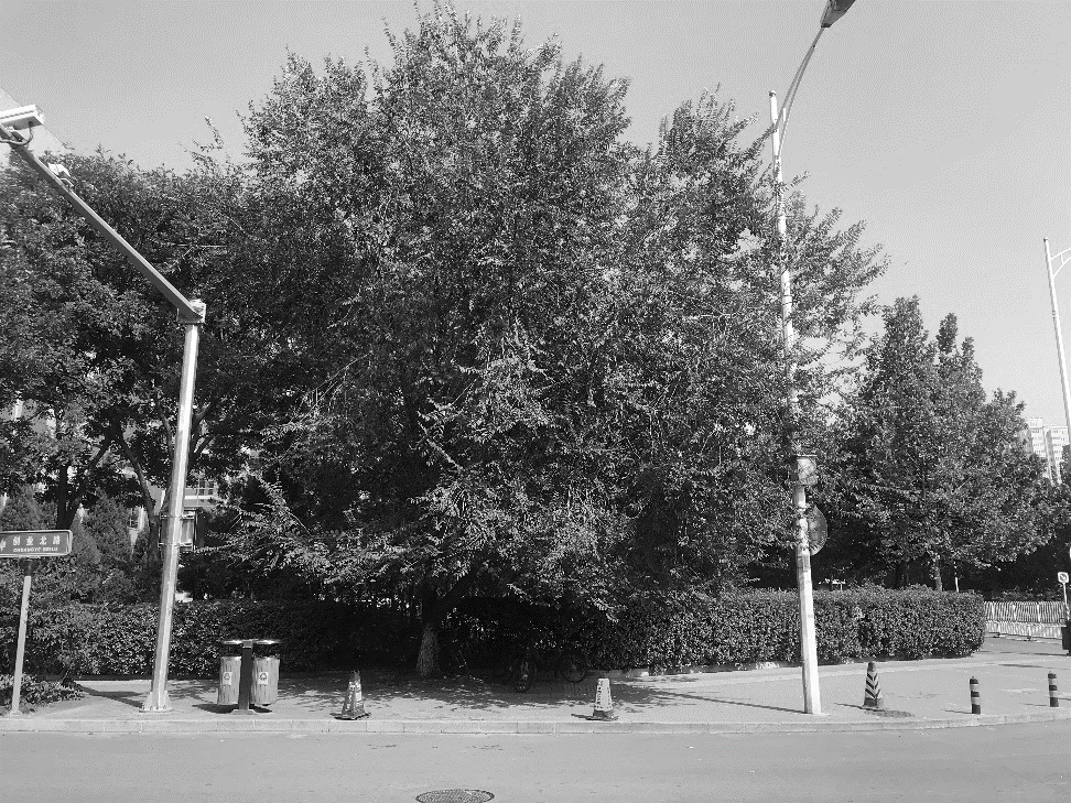 640 (1).png