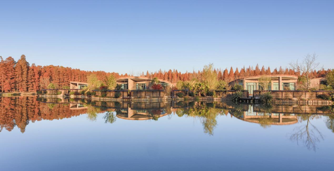 淮安君澜·金湖水上森林温泉度假酒店 | 中国美院风景建筑设计研究总院 - 景观网