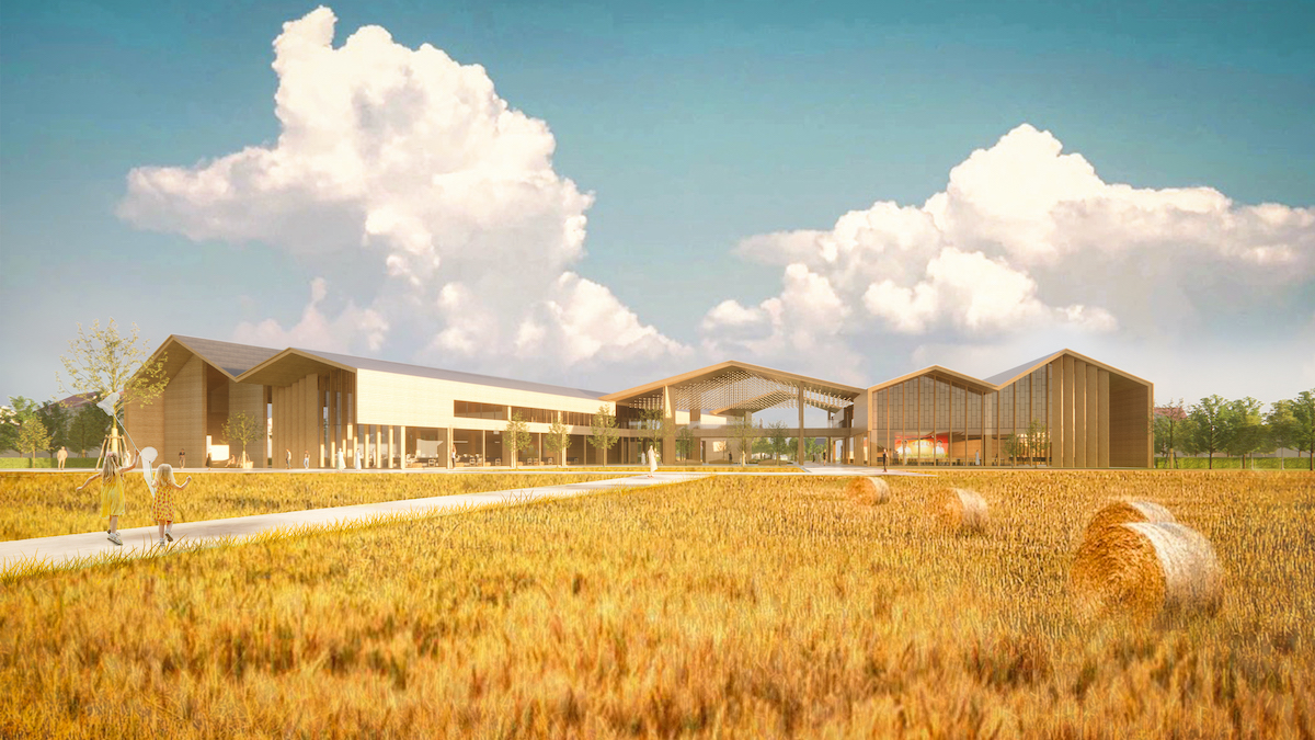 03 站在稻田透视图.jpg