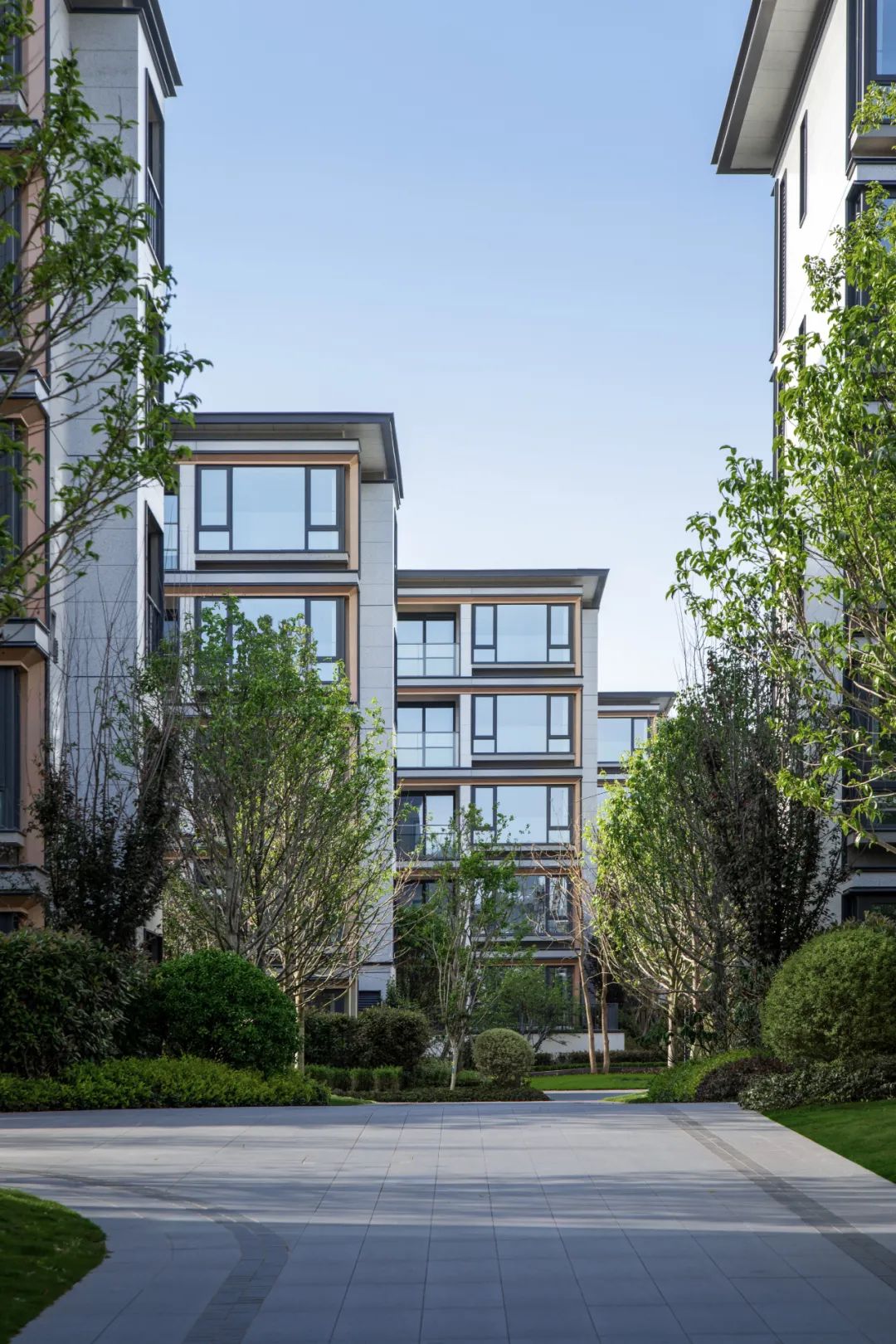杭州大华春山椿树 | 青墨建筑设计 ARCHINA 项目