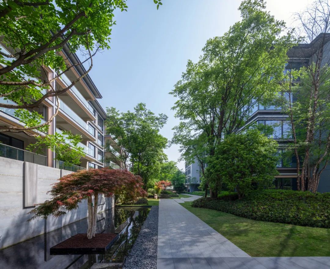杭州大华春山椿树 | 青墨建筑设计 - 景观网