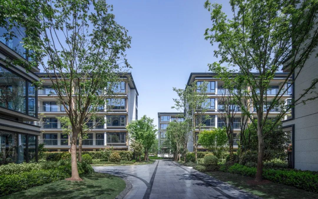 杭州大华春山椿树 | 青墨建筑设计 ARCHINA 项目