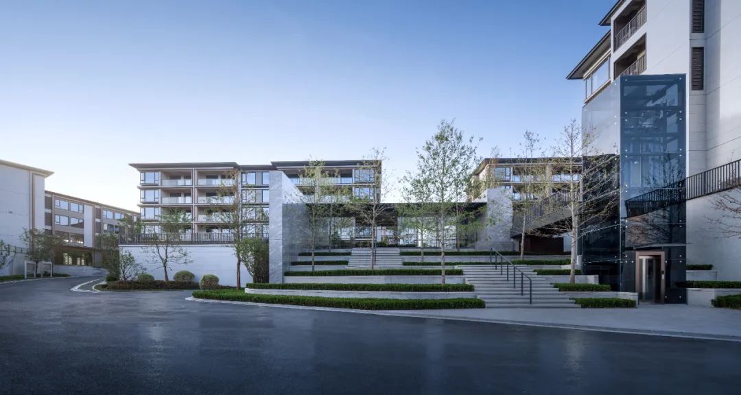 杭州大华春山椿树 | 青墨建筑设计 ARCHINA 项目