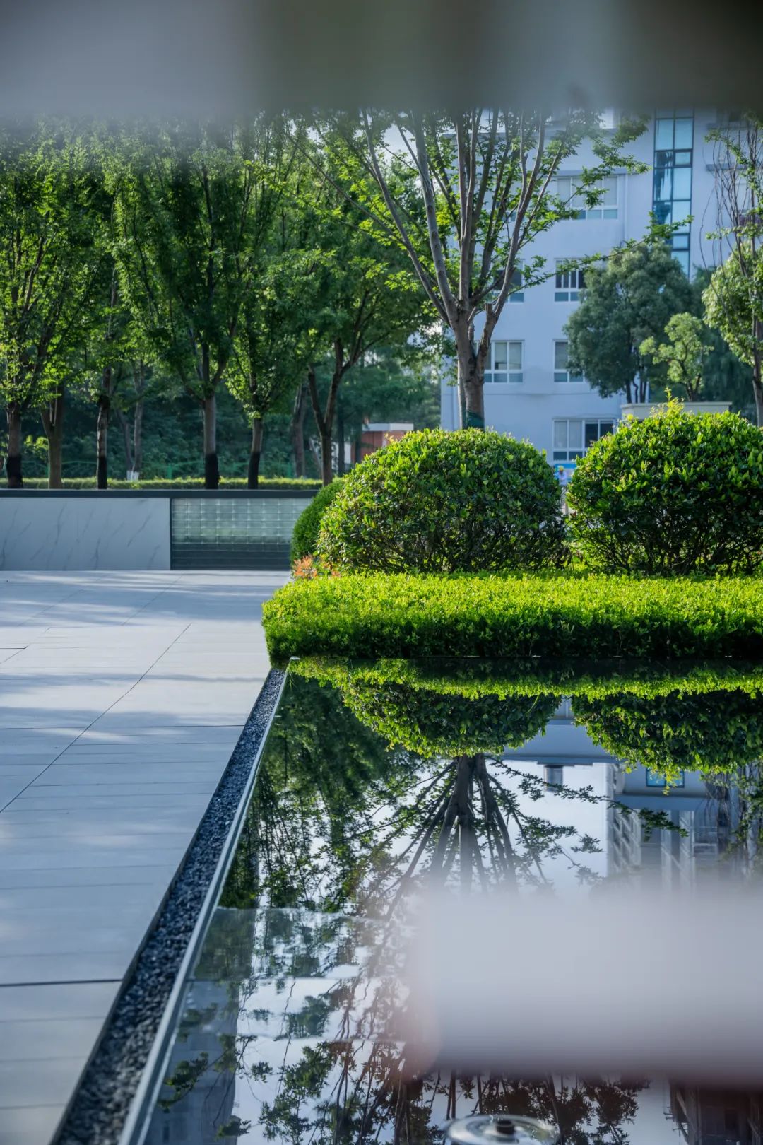 凯迪·新城 博科园·温州 | 麦田景观 ARCHINA 项目