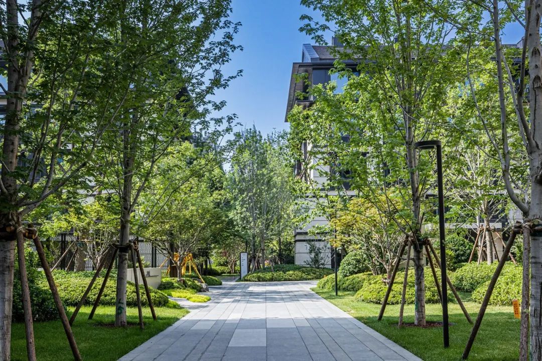 北京颐和金茂府大区 | 北京顺景园林 - 景观网