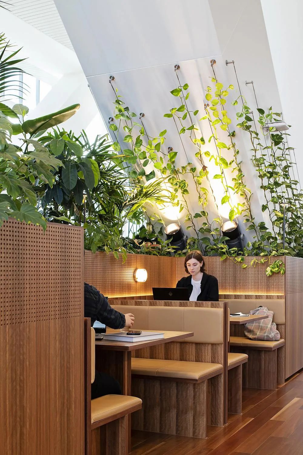 NAB澳洲国立银行墨尔本总部 | Hassell ARCHINA 项目