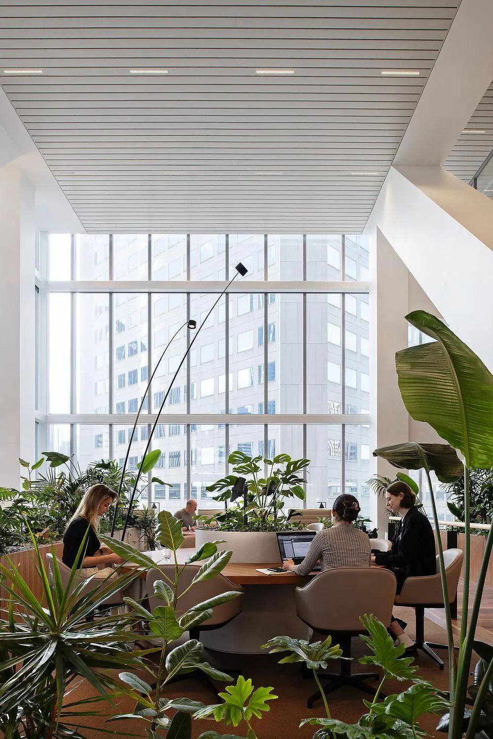 NAB澳洲国立银行墨尔本总部 | Hassell ARCHINA 项目
